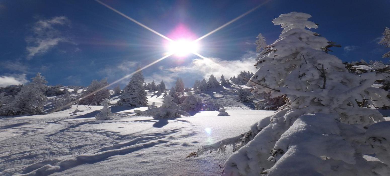 Ski-In, Ski-Out By Apartment Managers Kirchberg in Tirol Bagian luar foto